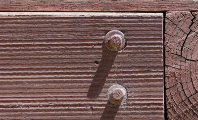 Timber Bolts and Shadow