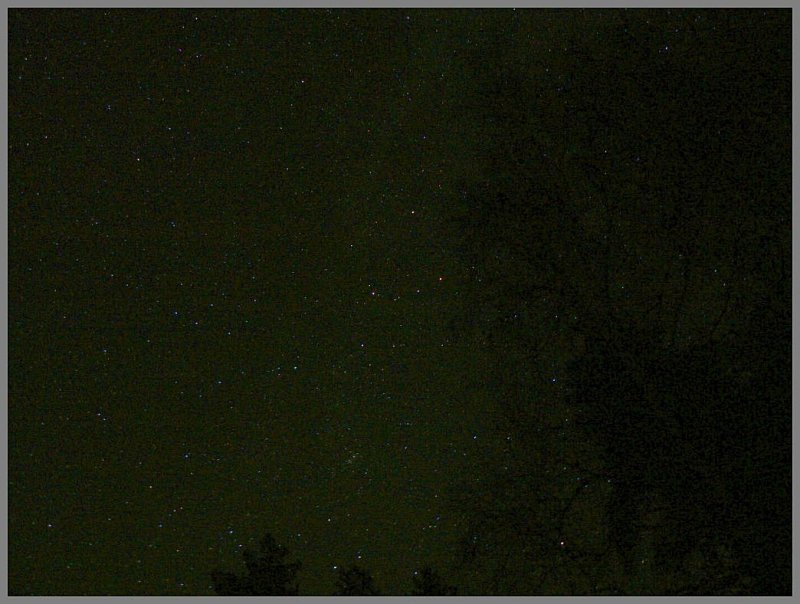 P1430675 Stars and trees.jpg