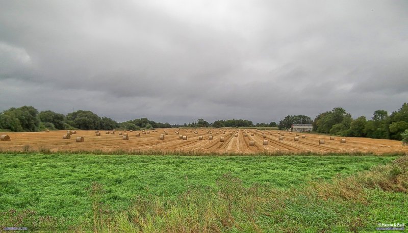 S0064014 Åker.jpg