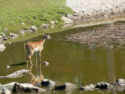 P1260639 Kolmrden Vattenhl.jpg