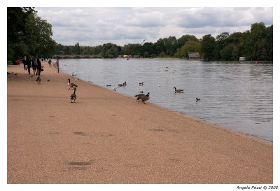 Hyde Park