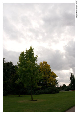 Regent's Park