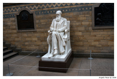 Charles Darwin in Natural History Museum