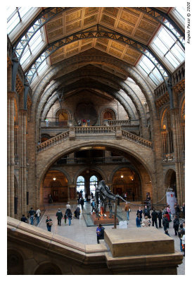 Natural History Museum