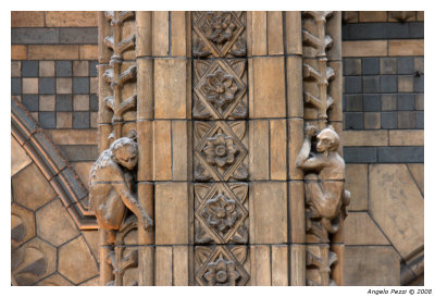 Natural History Museum