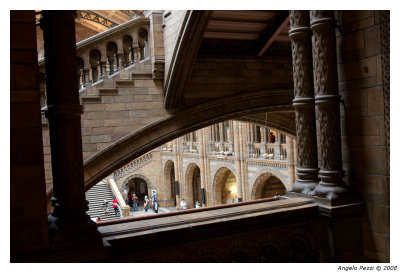Natural History Museum