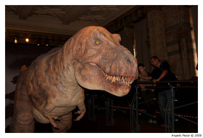 Natural History Museum