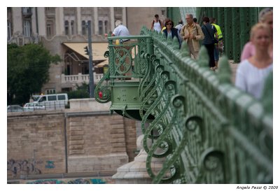 The Freedom Bridge