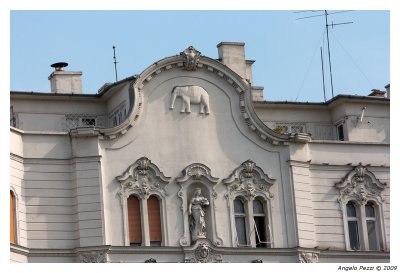 pbase-Budapest-0412.jpg