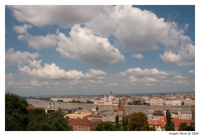 Parliament