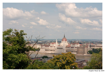 Parliament