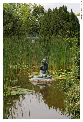 Japanese Garden (Margaret Island)