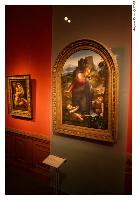 Leonardo (Museum of Fine Arts)