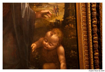 Leonardo (Museum of Fine Arts)