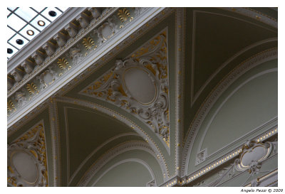 Museum of Fine Arts