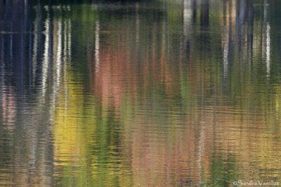 Fall Reflected