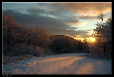 Un beau matin dans une semaine de répit...