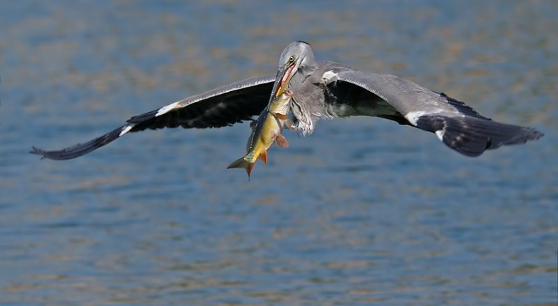 DSC_5595.jpg