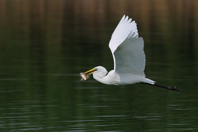 DSC_2618.jpg