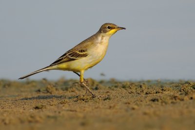 DSC_3948.jpg