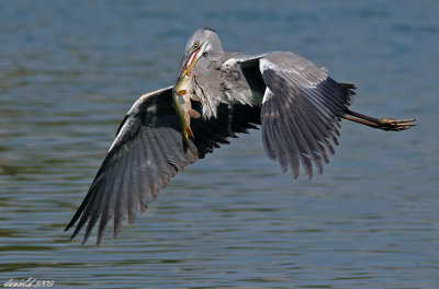 DSC_5599-2.jpg