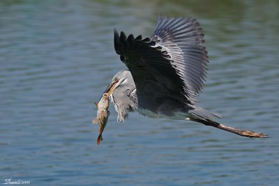 DSC_5613.jpg