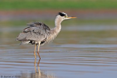 DSC_3387_1.jpg