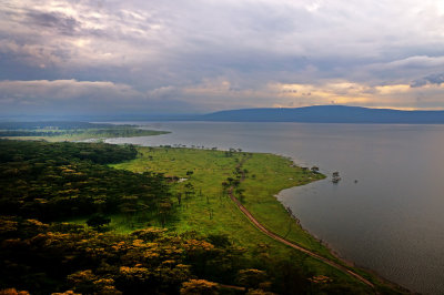  Lake Nakuru   אגם נקורו