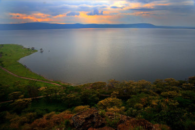 Lake Nakuru אגם נקורו