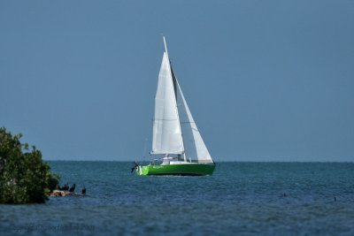 g1/44/773144/3/111045956.p7IH8VjV.jpg
