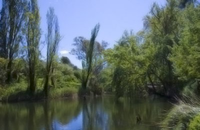 River scene at Clarendon copy.jpg