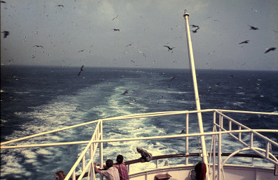 g1/44/816944/3/109922345.EpRGvrcx.jpg
