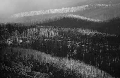 Mt Hotham