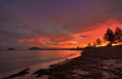 The Bluff