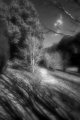Mt Lofty