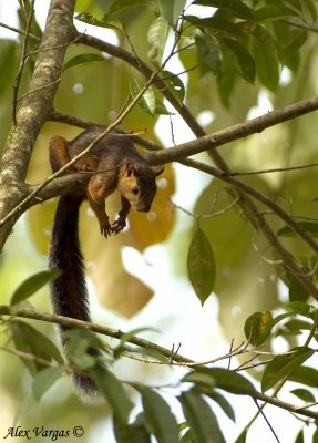Hanging around on a Hot Day!