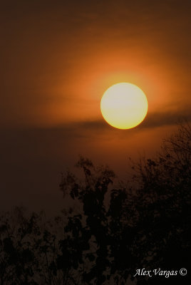 Sunset at Yonok Wetlands