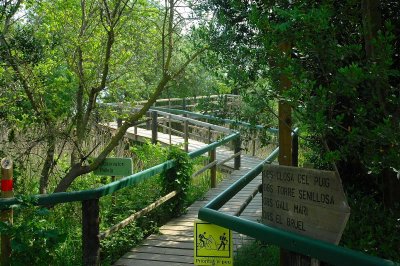 Trail at Aiguamolls d'la Emporda