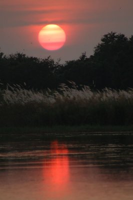Lake's Sunset