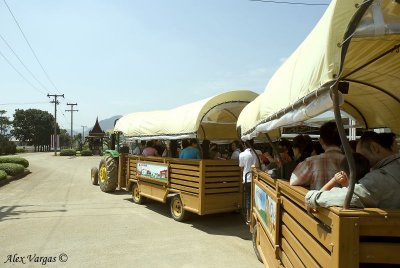 Farm Chokchai Tour