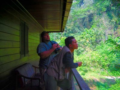 Birdwatching Cikaniki , Gunun Halimun Natl. Park, 2006