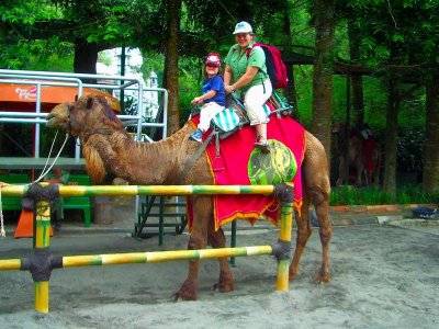 Taman Safari Camel Ride, 2006