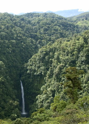 San Fernando's Waterfall, Cinchona 2008