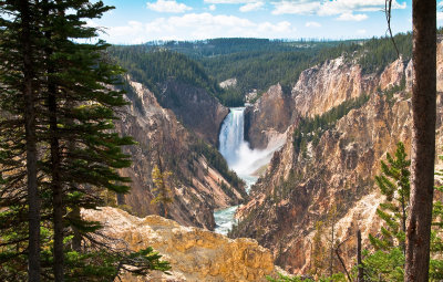 Yellowstone