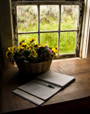 The Guest Book