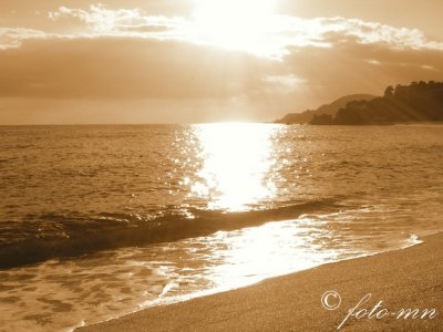 golden_beach