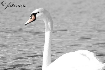 favorieten_favourites_favoriten