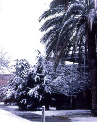 UA snow1964