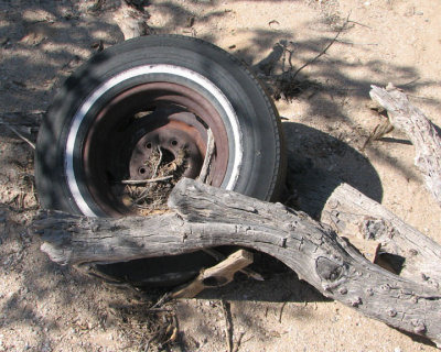 old Tire and Rim