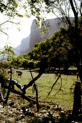 Aravipa Canyon The Chimny